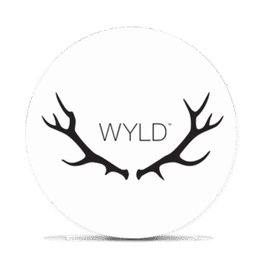 Logo 2
