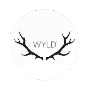Logo 2