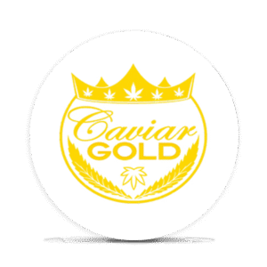 Logo 4